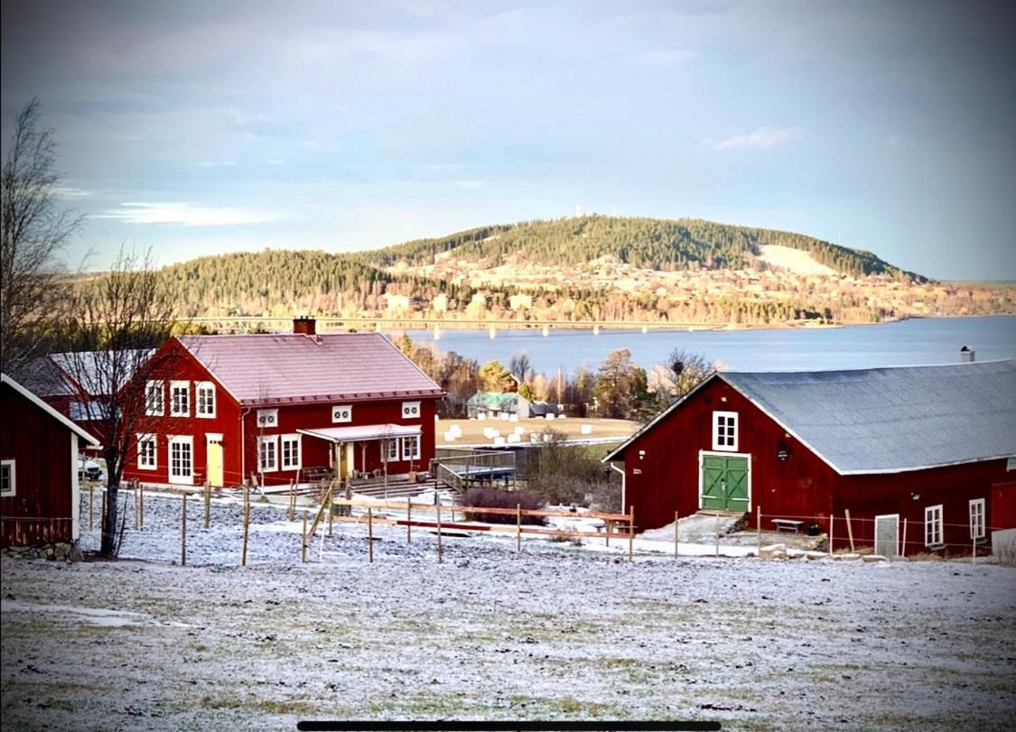 Scenic Small Guesthouse On Horse Farm By The Lake Frösö Exterior foto