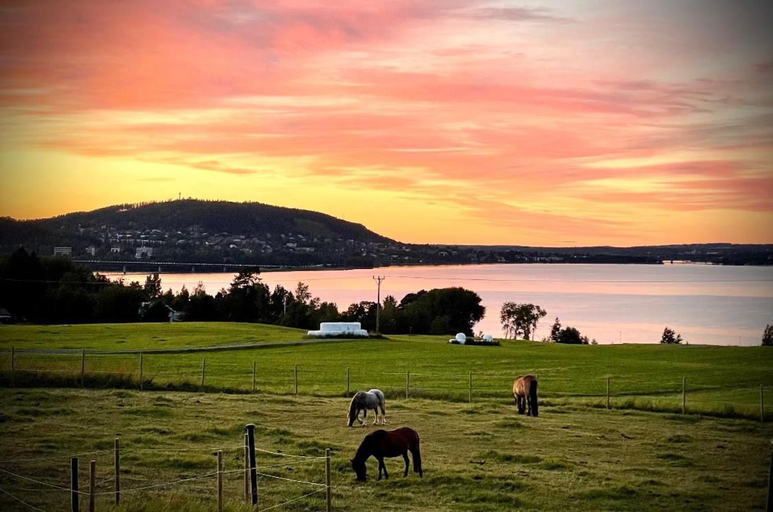Scenic Small Guesthouse On Horse Farm By The Lake Frösö Exterior foto