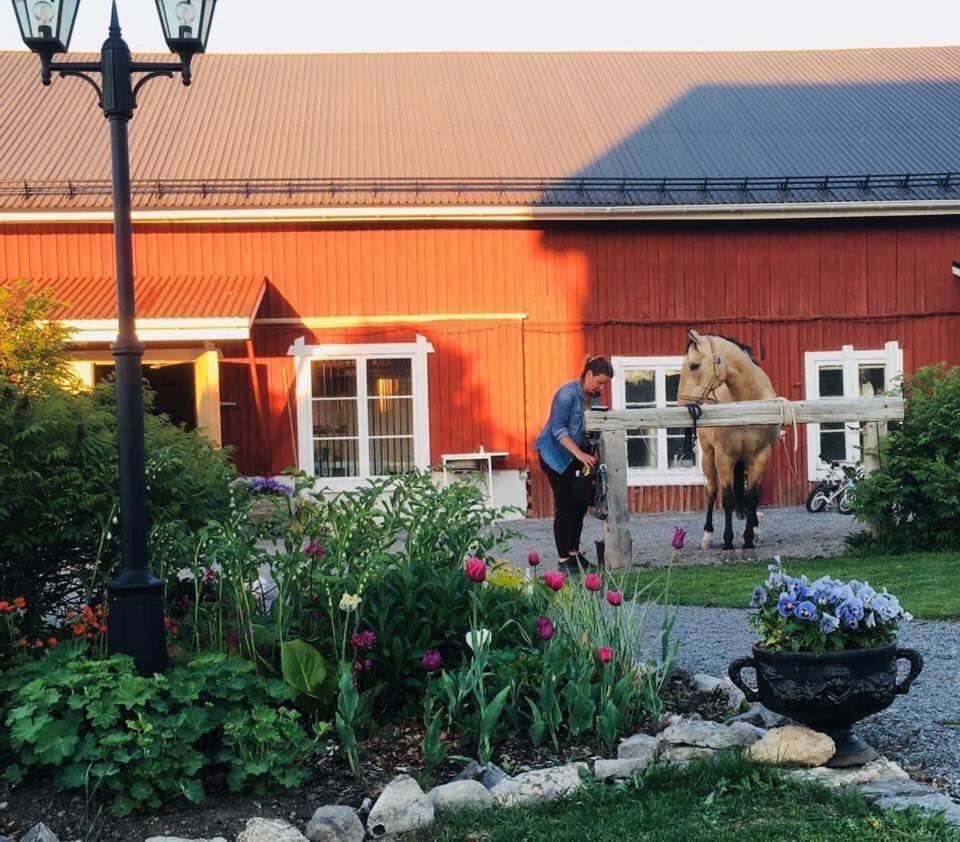 Scenic Small Guesthouse On Horse Farm By The Lake Frösö Exterior foto