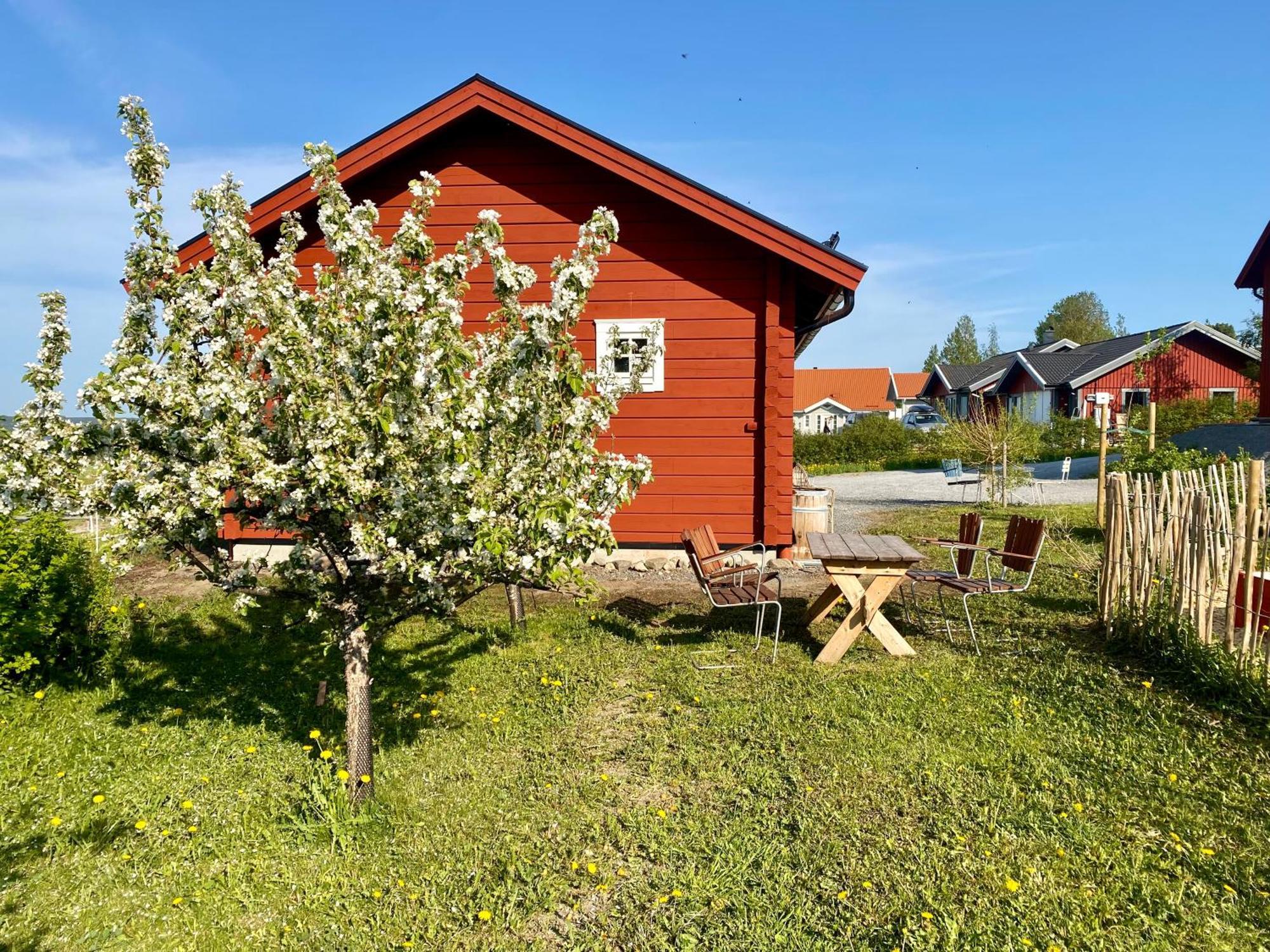 Scenic Small Guesthouse On Horse Farm By The Lake Frösö Exterior foto